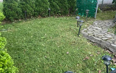 Photo of Misty S.'s yard after getting lawn care in Mount Vernon, NY