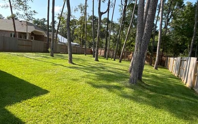 Photo of Israel P.'s yard after getting lawn care in Willis, TX
