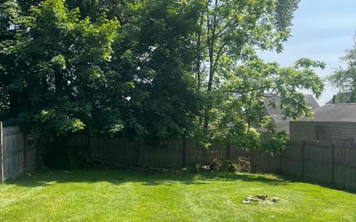 Photo of Leo W.'s yard after getting lawn care in Lehigh Acres, FL