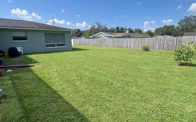 Photo of David L.'s yard after getting lawn care in Tarpon Springs, FL
