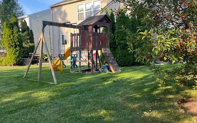 Photo of Aaliyah L.'s yard after getting lawn care in Antioch, IL
