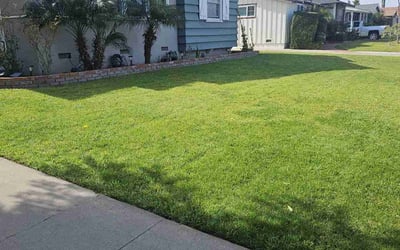 Photo of Marvin M.'s yard after getting lawn care in Anaheim, CA