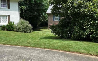 Photo of Phillip S.'s yard after getting lawn care in Mount Juliet, TN