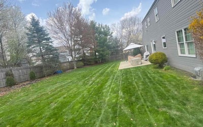 Photo of Jaycie R.'s yard after getting lawn care in Mckeesport, PA