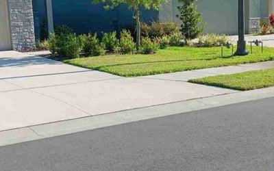 Photo of Josh M.'s yard after getting lawn care in Ellenton, FL