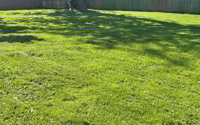Photo of Joseph N.'s yard after getting lawn care in Reynoldsburg, OH