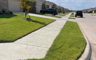Photo of John S.'s yard after getting lawn care in Commack, NY