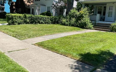Photo of Chanara M.'s yard after getting lawn care in Cleveland Heights, OH