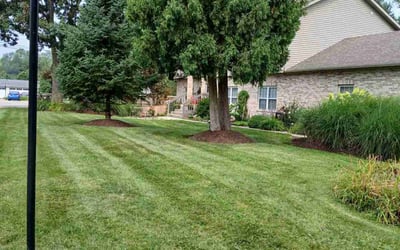 Photo of Stan J.'s yard after getting lawn care in Yonkers, NY