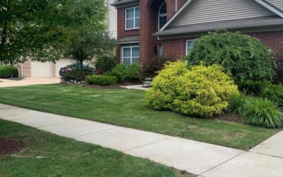 Photo of Justin M.'s yard after getting lawn care in Canton, MI