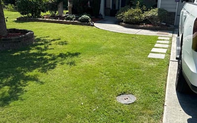 Photo of Carter N.'s yard after getting lawn care in Powder Springs, GA