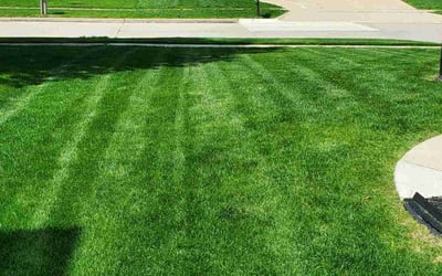 Photo of Michael B.'s yard after getting lawn care in Urbandale, IA