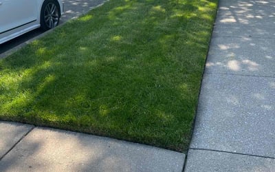 Photo of Brenda M.'s yard after getting lawn care in Cornelius, NC