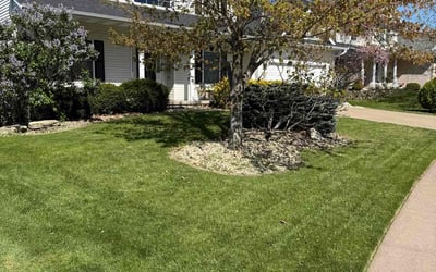 Photo of Kris C.'s yard after getting lawn care in Davenport, IA