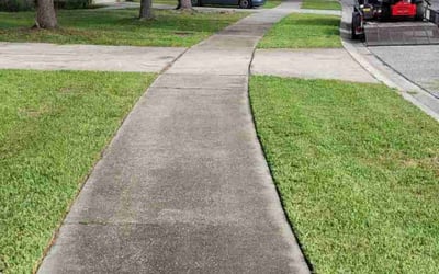 Photo of Asia S.'s yard after getting lawn care in North Charleston, SC