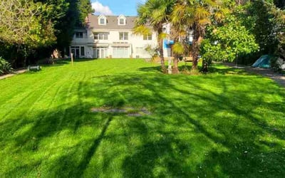 Photo of Jenna V.'s yard after getting lawn care in Bellevue, WA