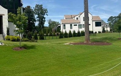 Photo of Nancy G.'s yard after getting lawn care in Fuquay Varina, NC