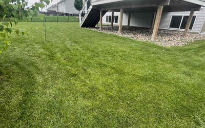 Photo of Sal I.'s yard after getting lawn care in Rosemount, MN