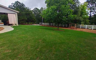 Photo of Brandon E.'s yard after getting lawn care in Senoia, GA