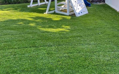 Photo of David v.'s yard after getting lawn care in Farmington, MN