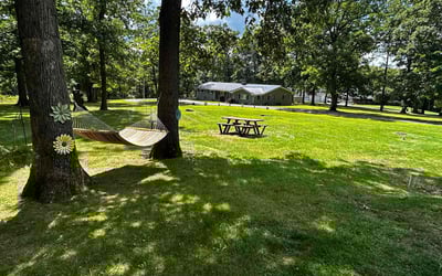 Photo of Mike C.'s yard after getting lawn care in Kittanning, PA