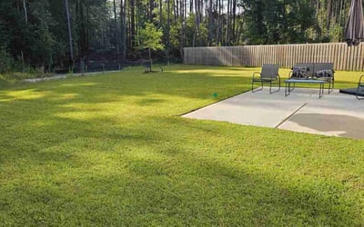 Photo of Rolla P.'s yard after getting lawn care in Pooler, GA