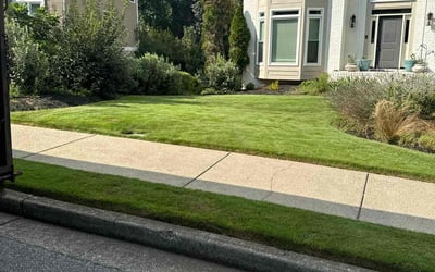 Photo of Mary E.'s yard after getting lawn care in Alpharetta, GA