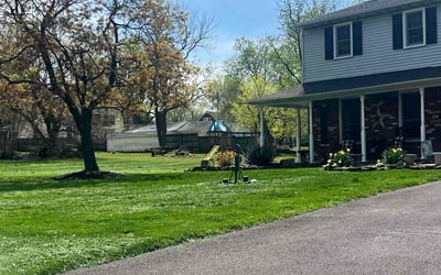 Photo of Michael F.'s yard after getting lawn care in Telford, PA