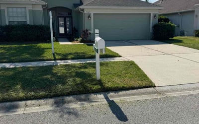 Photo of Lenisse L.'s yard after getting lawn care in Wesley Chapel, FL