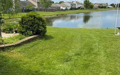 Photo of Fadi H.'s yard after getting lawn care in Franklin, IN