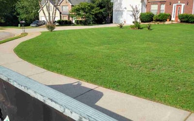 Photo of Judy P.'s yard after getting lawn care in Hampton, GA