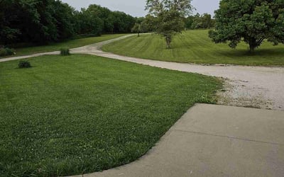 Photo of Kris W.'s yard after getting lawn care in Huntington, WV