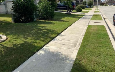 Photo of Cathy J.'s yard after getting lawn care in Manor, TX