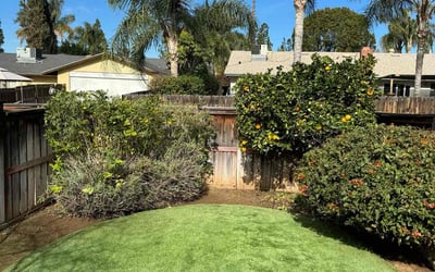 Photo of Jim S.'s yard after getting lawn care in Crestline, CA