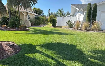 Photo of Raine M.'s yard after getting lawn care in Fort Myers, FL