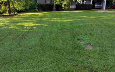 Photo of Sean M.'s yard after getting lawn care in London, KY