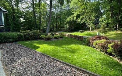 Photo of Candice W.'s yard after getting lawn care in Mcdonough, GA