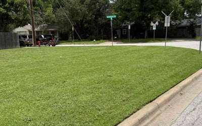 Photo of Carole W.'s yard after getting lawn care in Jacksonville, FL