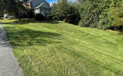 Photo of Joycee B.'s yard after getting lawn care in Brunswick, MD