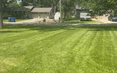 Photo of Latoria M.'s yard after getting lawn care in Gainesville, FL
