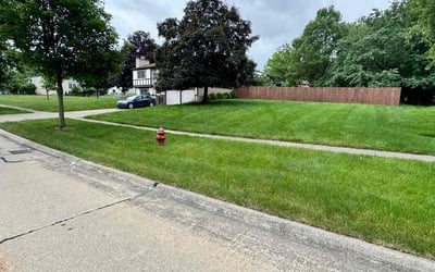 Photo of Cynthia J.'s yard after getting lawn care in Medina, OH