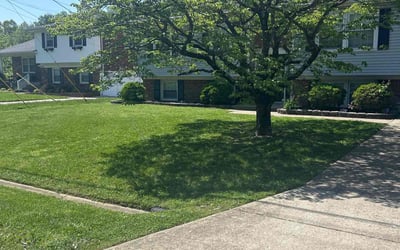 Photo of Stephanie H.'s yard after getting lawn care in Louisville, KY