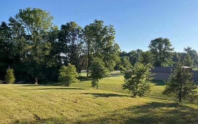 Photo of Lemuel W.'s yard after getting lawn care in Avon, IN