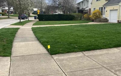 Photo of Barbara S.'s yard after getting lawn care in Beachwood, OH