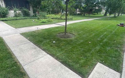 Photo of Jen B.'s yard after getting lawn care in Evanston, IL