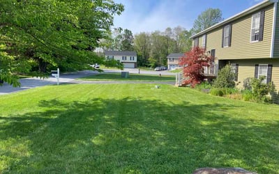 Photo of Virendra S.'s yard after getting lawn care in Wentzville, MO