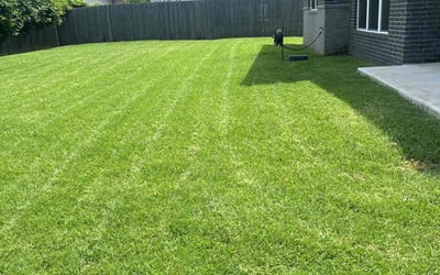 Photo of Jonathan P.'s yard after getting lawn care in Guthrie, OK