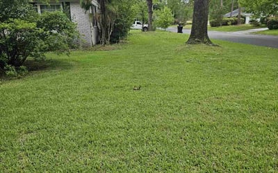 Photo of Kayla S.'s yard after getting lawn care in Lockport, IL