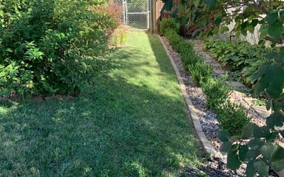 Photo of Phil D.'s yard after getting lawn care in Kansas City, KS