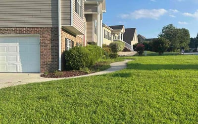 Photo of Jared S.'s yard after getting lawn care in Newnan, GA